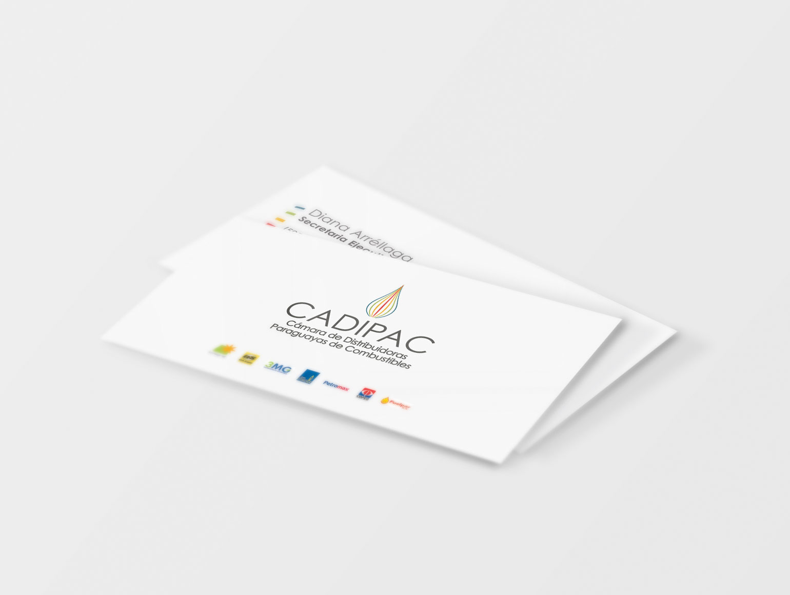 CADIPAC: imagen 2 del proyecto