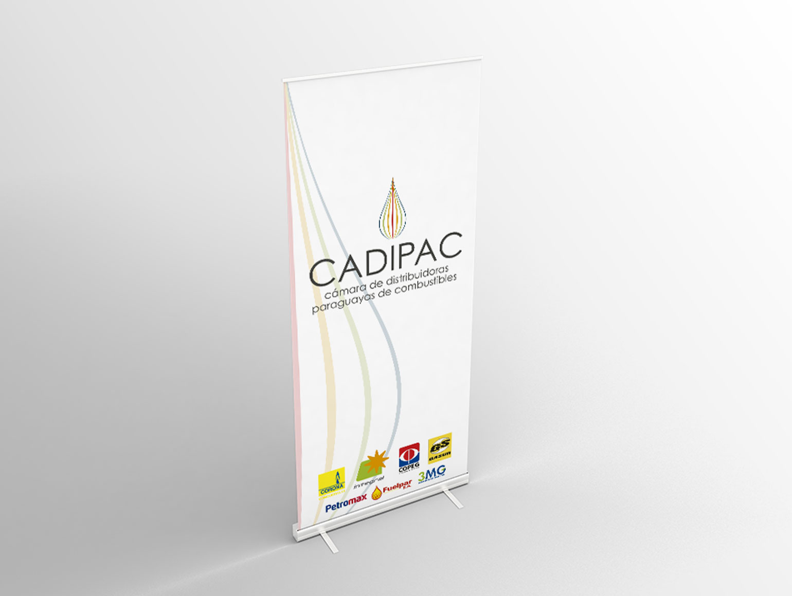 CADIPAC: imagen 3 del proyecto
