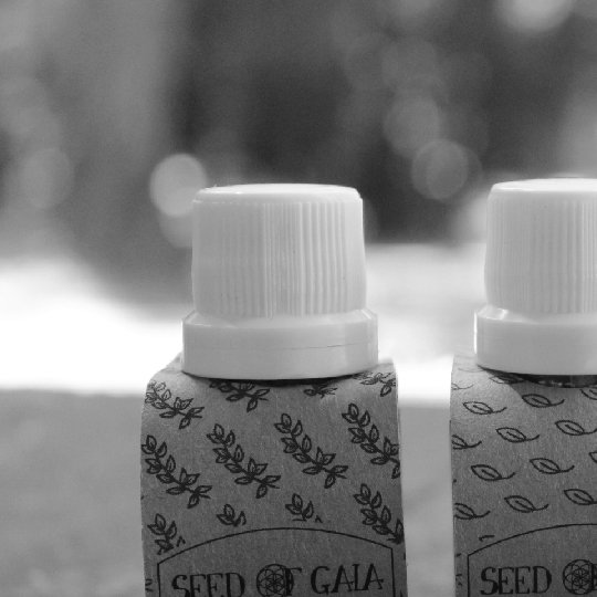 Trabajo para Seed of Gaia